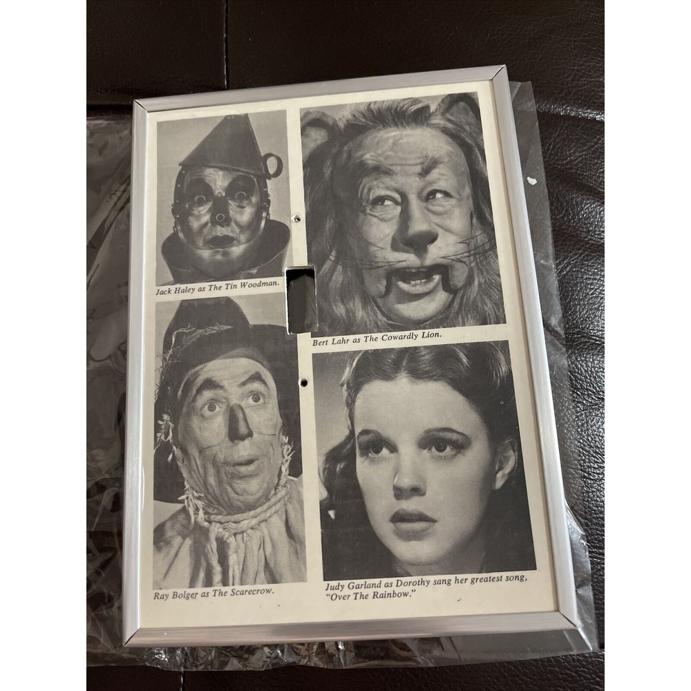 New  Wizard Of Oz,tinman,cowardly lion,scarecrow & dorothy light switch cover